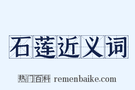 石莲近义词是什么意思的图片